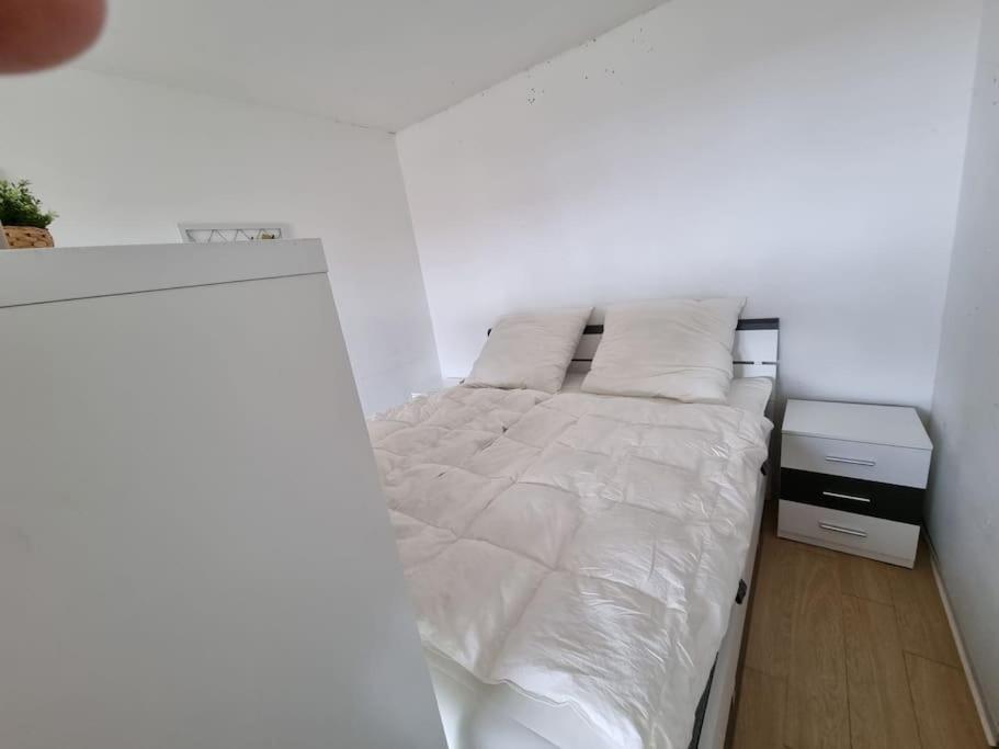 Ferienwohnung Altenau Im Harz, Hunde Exterior foto